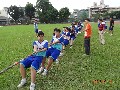 拔河